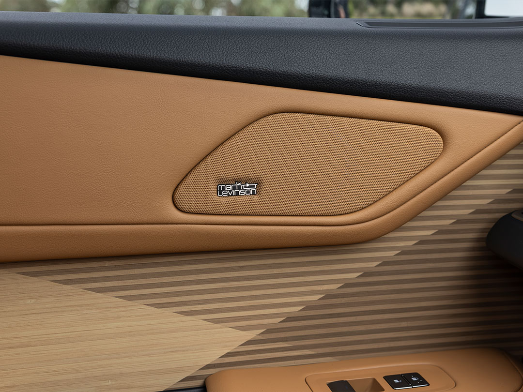 Mark Levinson sound system